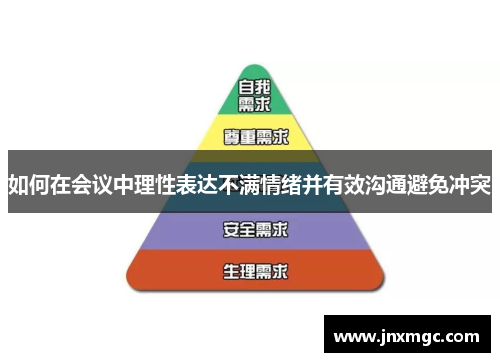 如何在会议中理性表达不满情绪并有效沟通避免冲突