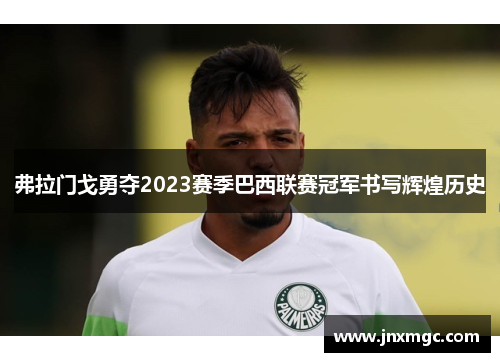 弗拉门戈勇夺2023赛季巴西联赛冠军书写辉煌历史